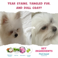Load image into Gallery viewer, CELEBRITY BABY (Paw Malone Scent) β Luxury Shampoo for White Dogs | Tangle-Free, Silky Coat, Shedding & Tear Stain Control