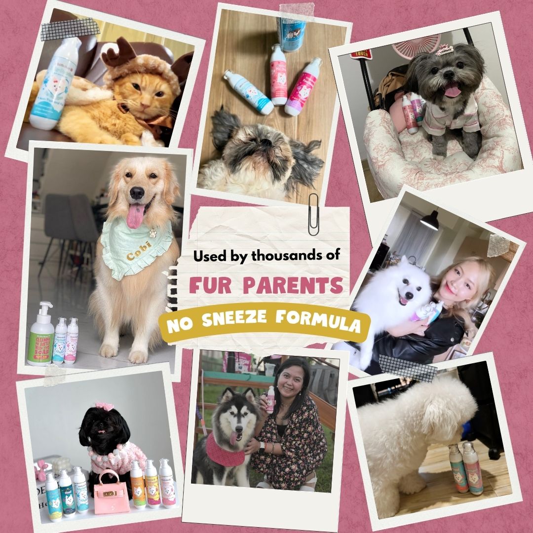 Luxury Pet Cologne | Hypoallergenic & Anti-Flea Perfume for Dogs & Cats