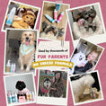 Load image into Gallery viewer, Luxury Pet Cologne | Hypoallergenic & Anti-Flea Perfume for Dogs & Cats
